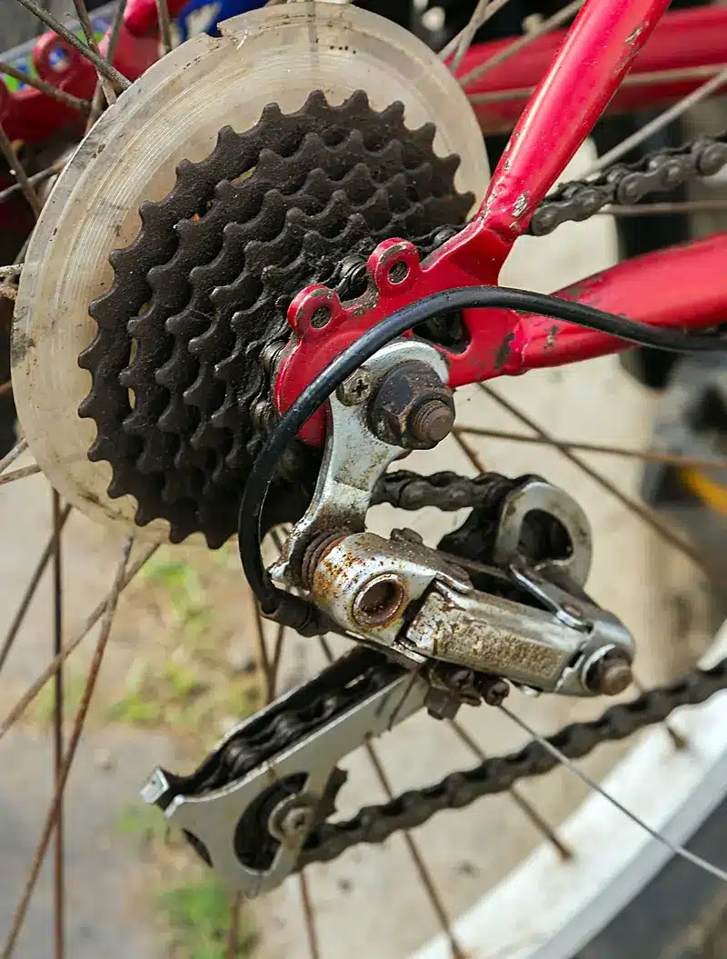 Rear derailleur with the chain threaded through the cage and around the cassette on a mountain bike