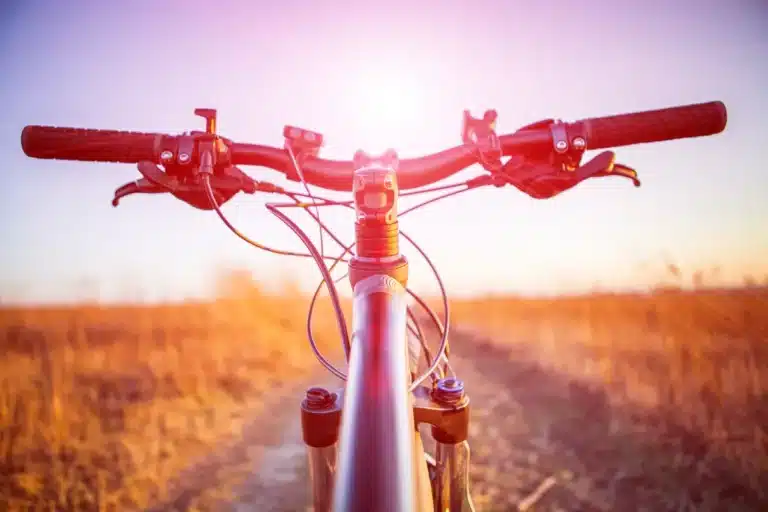 Rider's view of a flat mountain bike handlebar with both grips visible, ahead of a dirt trail